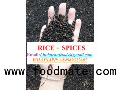 Black pepper for sale/ Vietnam Black pepper rate/ white pepper/ pinhead_Phone: +84989322607