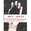 Black pepper for sale/ Vietnam Black pepper rate/ white pepper/ pinhead_Phone: +84989322607