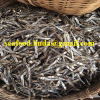 Vietnam Dried Anchovy /Sprats Available _  (Phone wa): +84 98932260