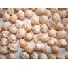 KABULI CHICKPEAS