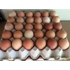 CHICKEN EGGS ( FRESH FARM White & Brown Eggs)