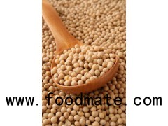 Soybeans / Non Gmo Soybeans / Soya Bean