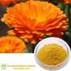 plant extracts manufacturer and supplier|Food pigment Herbal Marigold Flower Extract Lutein Esters