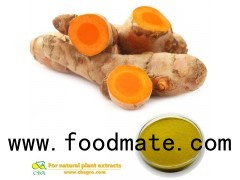 Pure organic air driedTurmeric Curcuma Longa Extract