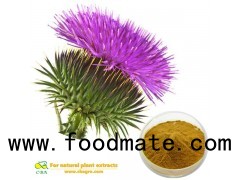 SHANGHAI CBAGRO CO.,LTD Factory Bulk Supply Natural Milk Thistle Seed Oil