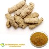 Natural Morinda Root Extract medicinal plant extraction Medicinal morinda root extract
