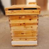 Manufacturer of top bar beehive box Langstroth bee hive