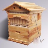 Automatic honey flow bee hive with 7pcs food grade flow frames