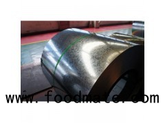 Regular Spangle Full Hard Galvanized Steel Sheet Coil