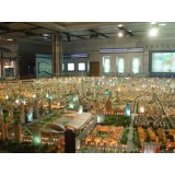 Plastic Model of City Planning