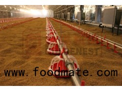 poultry feeding system