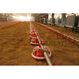 poultry feeding system