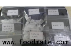 small glass optical lens