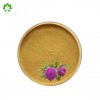 natural factors milk thistle extract anti aging powder