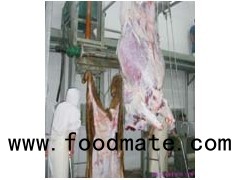 Hydraulic Type Cattle Skin Removed Machine