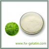 Best Quality Stevioside Natural Sugar Additive High Sweetness Low Calories Sugar