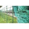 Galvanized and plastic coated barbed wire