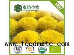 Organic Flowering tea Chrysanthemum tea