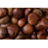 Chestnuts