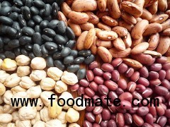 Black Kidney Beans/White Kidney Beans/Red Kidney Beans/Speckled Kidney Beans/Haricot Beans