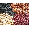 Black Kidney Beans/White Kidney Beans/Red Kidney Beans/Speckled Kidney Beans/Haricot Beans