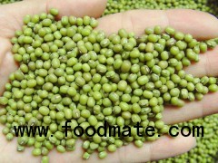 Green Mung Beans, Kidney Beans, Navy Beans