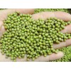 Green Mung Beans, Kidney Beans, Navy Beans