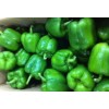 Fresh Capsicum