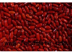 Kidney beans