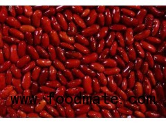 Kidney beans