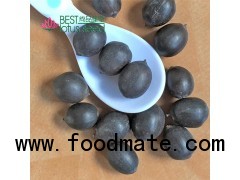 Black Iron Shell Lotus Seed Nut Kernel Lotus Extract Manufacture Wholesaler Exporter Supplier