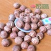 Dried Red Lotus Seed Nut Kernel without Core Plumele Lotus Extract Manufacture Wholesaler Exporter