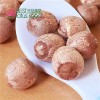 Dried Red Lotus Seed Nut Kernel with Core Plumele Lotus Extract Manufacture Wholesaler Exporter