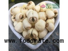 Dried Handmade Lotus Seed Nut Kernel with Core Plumele Lotus Extract Manufacture Wholesaler Exporter