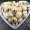 Dried Handmade Lotus Seed Nut Kernel with Core Plumele Lotus Extract Manufacture Wholesaler Exporter