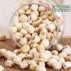 Dried Handmade Lotus Seed Nut Kernel without Core Plumele Lotus Extract Manufacture Wholesaler