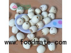 Dried Grinding Lotus Seed Nut Kernel without Core Plumele Lotus Extract Wholesaler Exporter