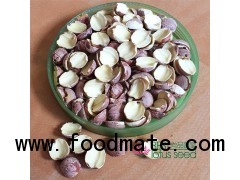 Dried Half Red Lotus Seed Nut Kernel Lotus Extract Paste Wholesaler Exporter Supplier