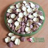 Dried Half Red Lotus Seed Nut Kernel Lotus Extract Paste Wholesaler Exporter Supplier