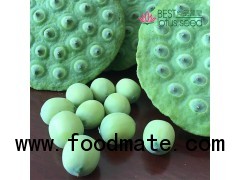 Fresh Fruit Lotus Seed Nut Kernel Lotus Seed Pod Head Extract Wholesaler Exporter Supplier