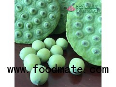 Fresh Fruit Lotus Seed Nut Kernel Lotus Seed Pod Head Extract Wholesaler Exporter Supplier