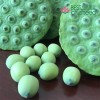 Fresh Fruit Lotus Seed Nut Kernel Lotus Seed Pod Head Extract Wholesaler Exporter Supplier