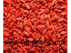 Goji Berry