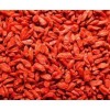 Goji Berry