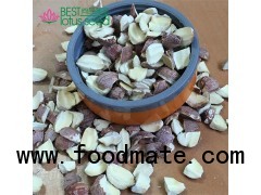 Dried Shard  Red Lotus Seed Nut Kernel Lotus Extract Paste Wholesaler Exporter