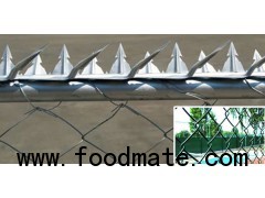 Chain Link Fence + Security Spikes