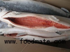 FROZEN SALMON FISH