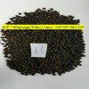 BLACK PEPPER / WHITE PEPPER  WP 0084907886929