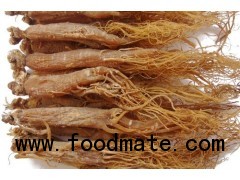 Ginseng