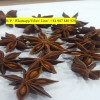 VIETNAM STAR ANISEED